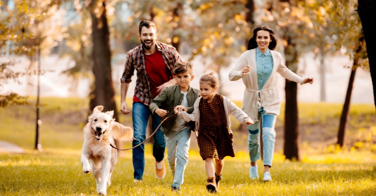 benefits of pets for kids a world of discoveries columbia